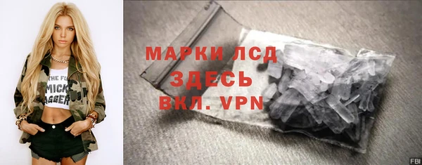 шишки Богородицк