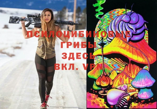 шишки Богородицк