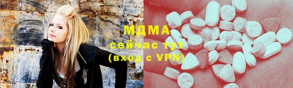шишки Богородицк